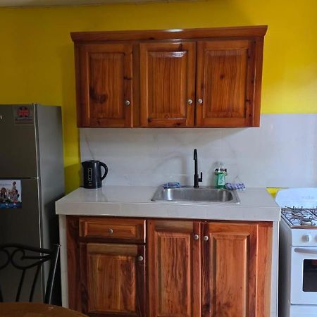 Wizzy Apartment White River Ocho Rios Bagian luar foto