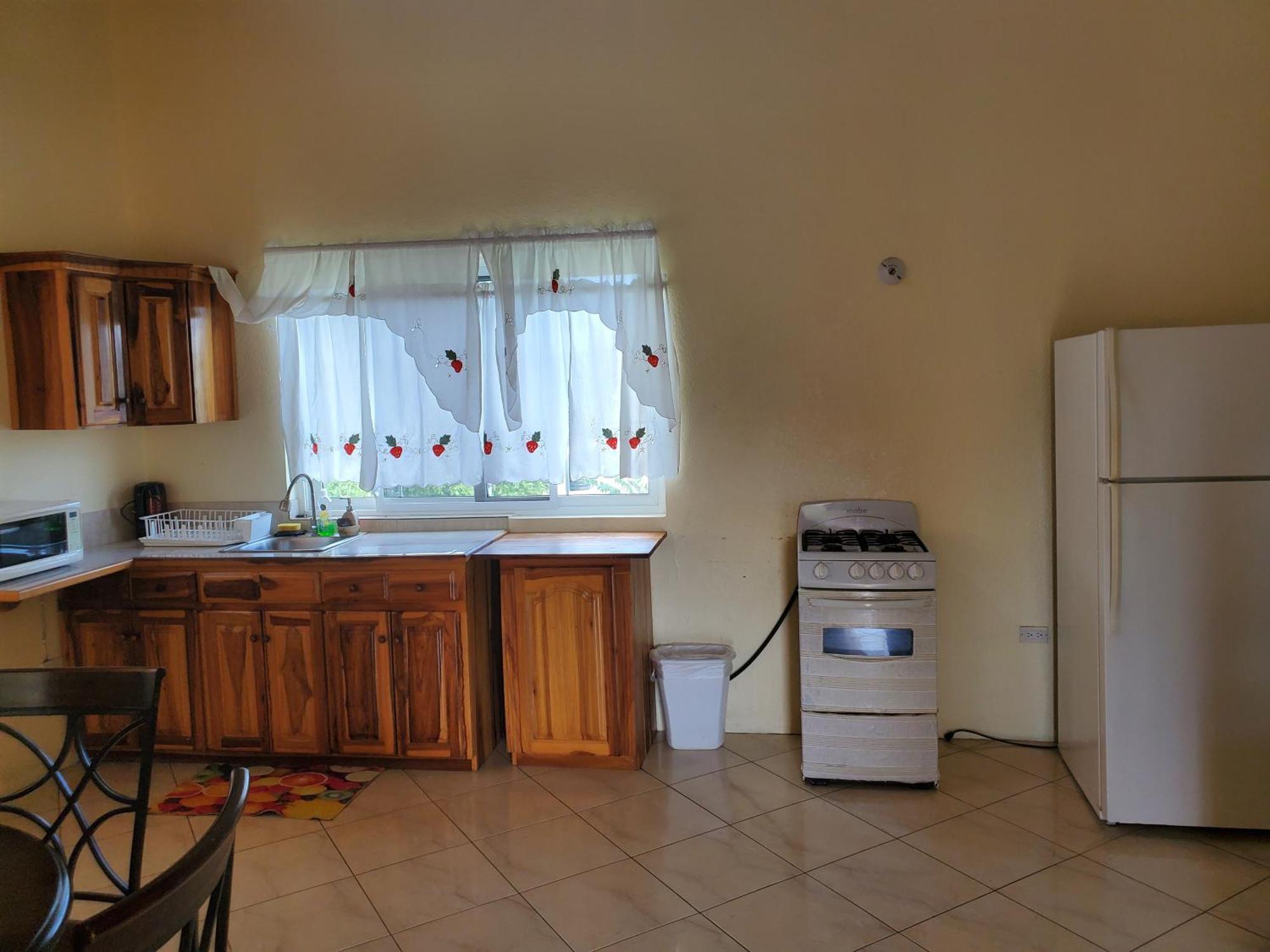 Wizzy Apartment White River Ocho Rios Bagian luar foto