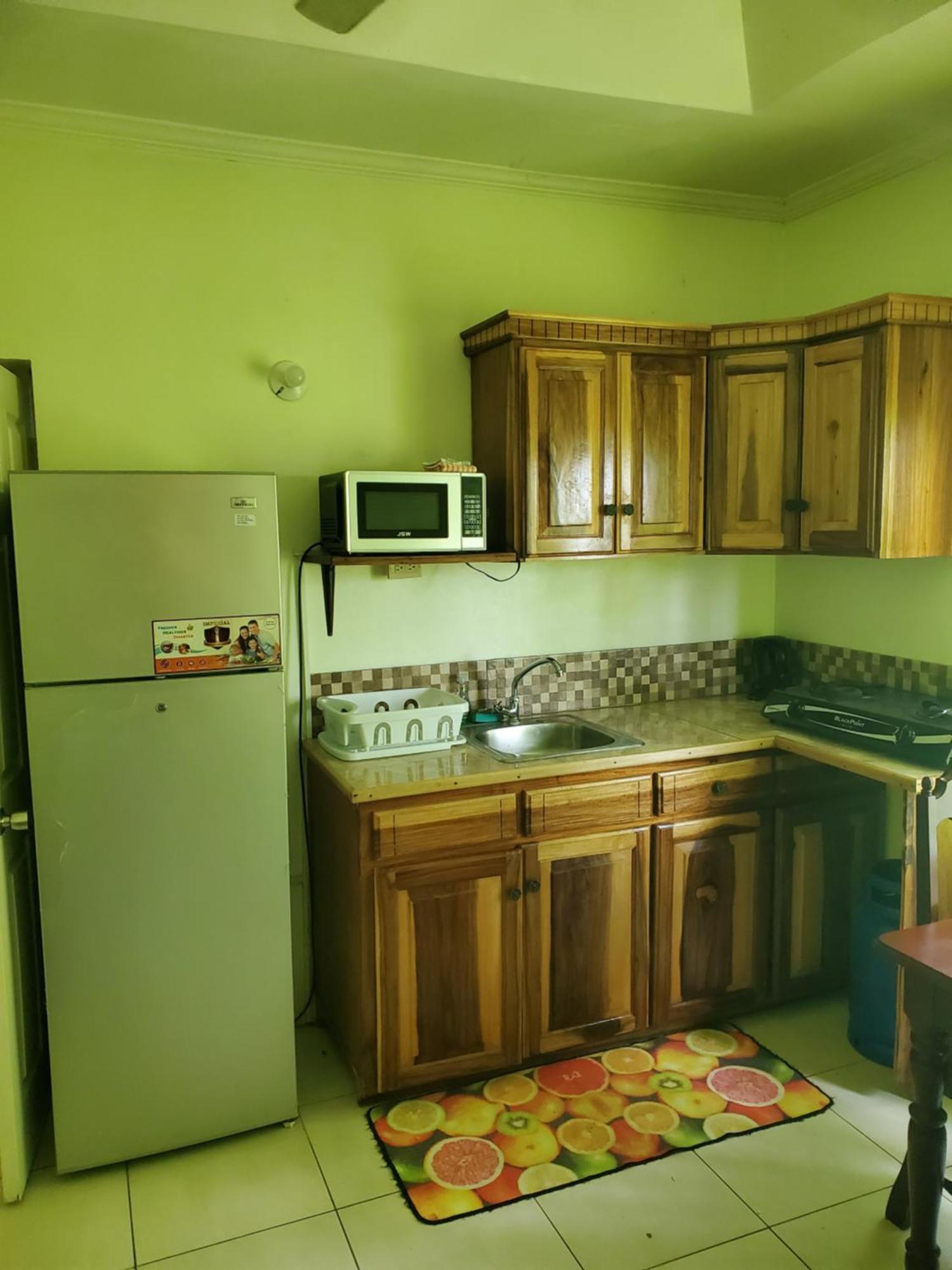 Wizzy Apartment White River Ocho Rios Bagian luar foto