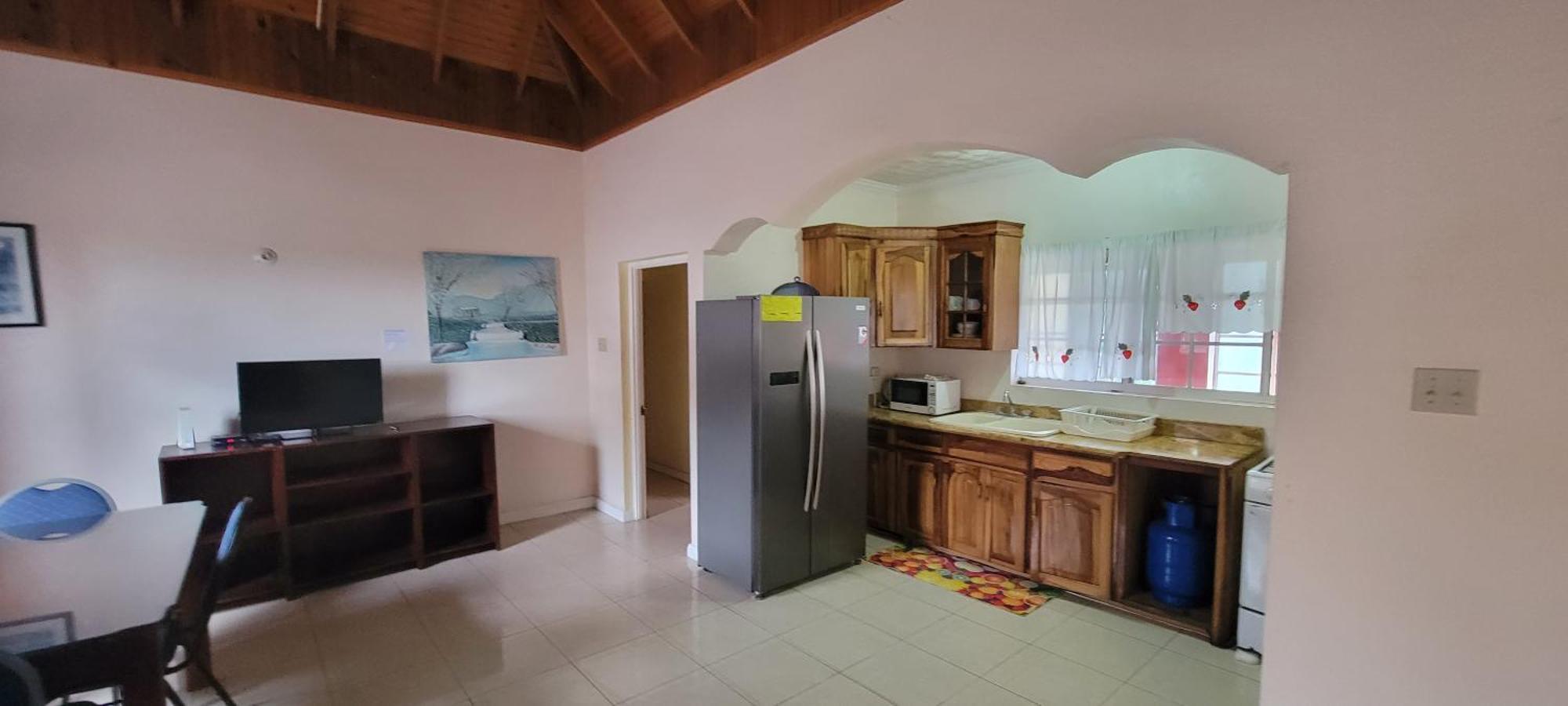 Wizzy Apartment White River Ocho Rios Ruang foto