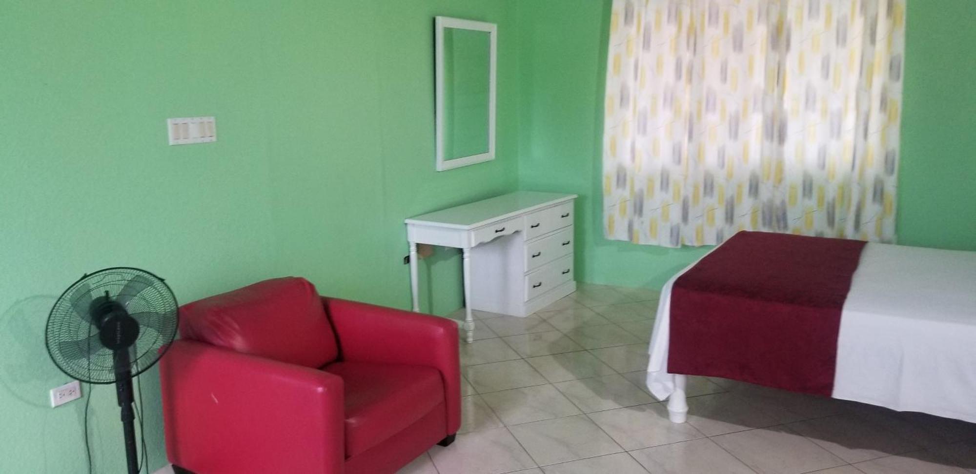 Wizzy Apartment White River Ocho Rios Ruang foto