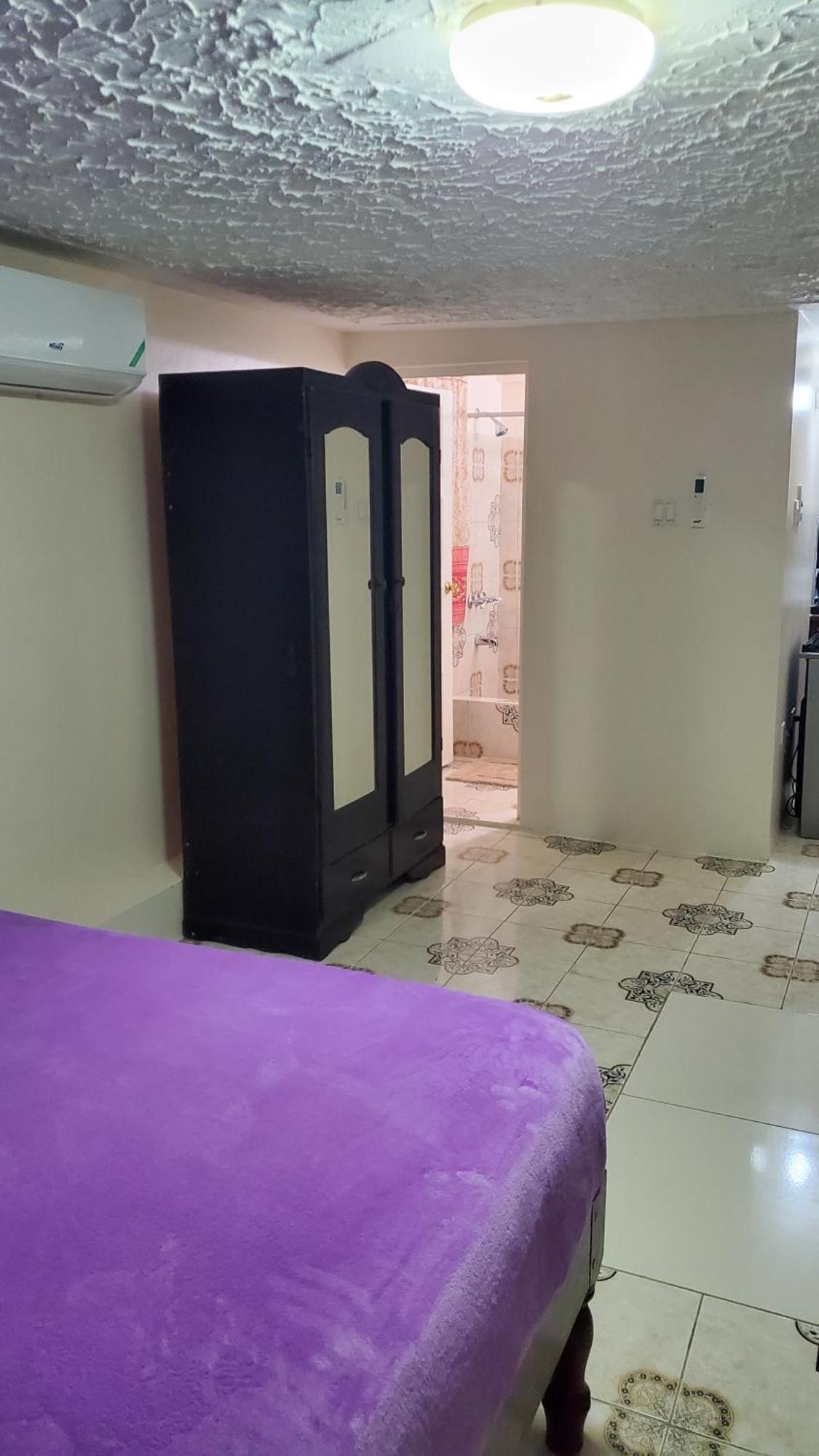 Wizzy Apartment White River Ocho Rios Ruang foto