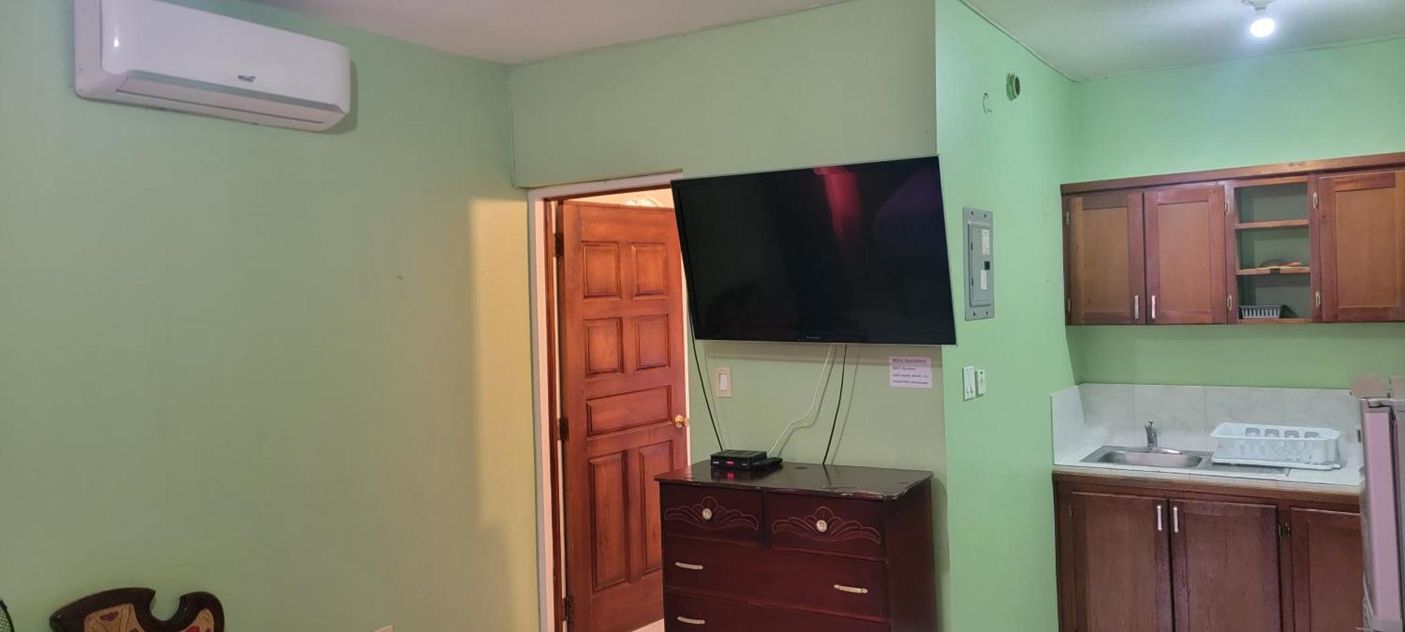 Wizzy Apartment White River Ocho Rios Ruang foto