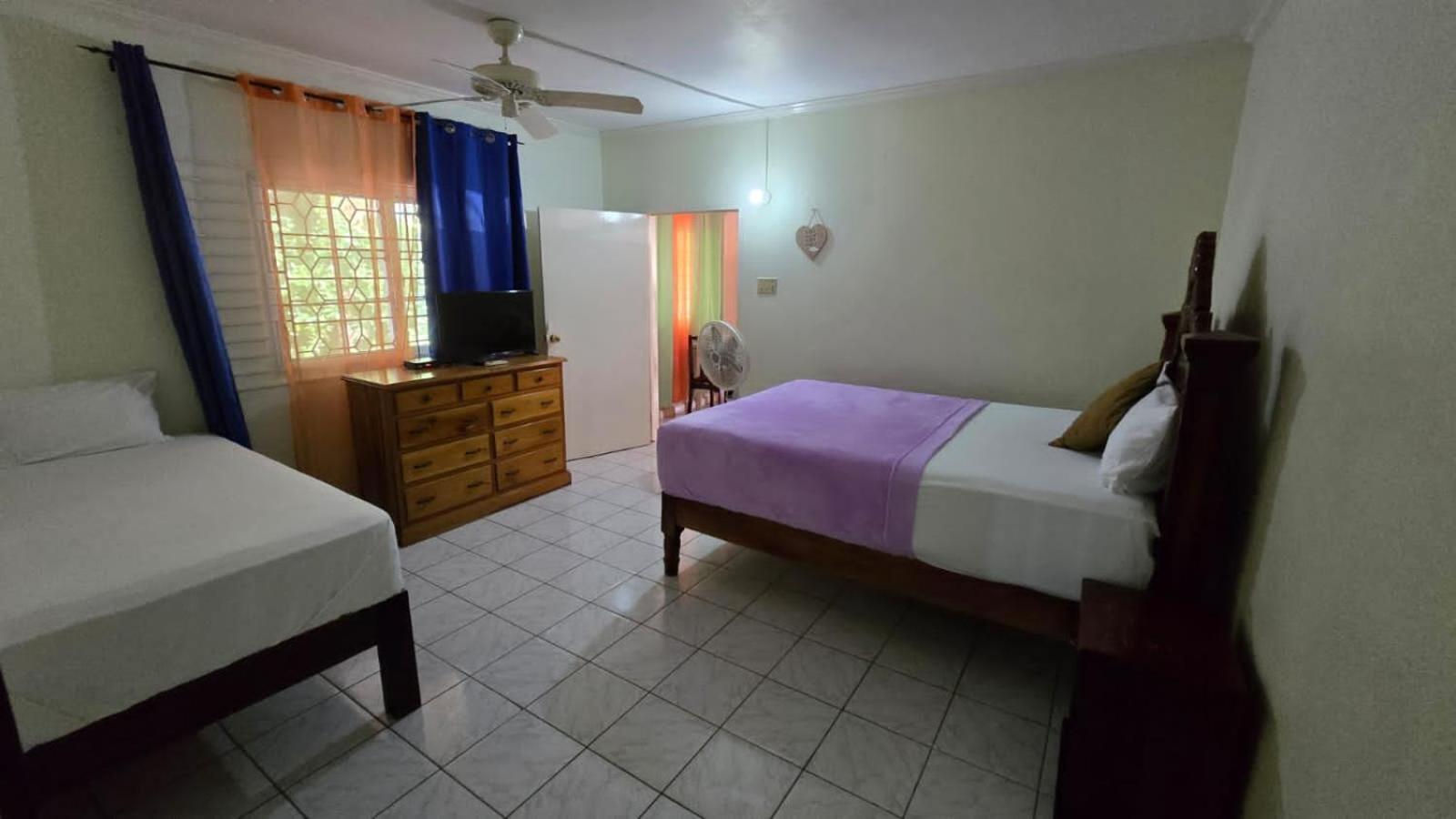 Wizzy Apartment White River Ocho Rios Ruang foto