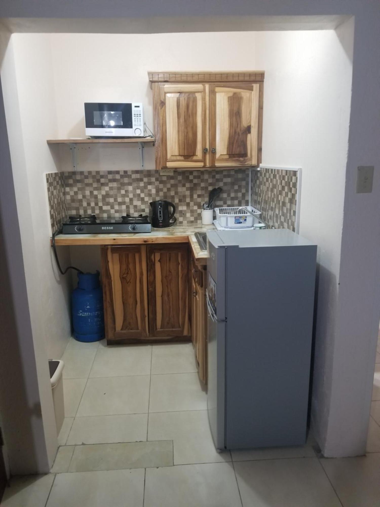 Wizzy Apartment White River Ocho Rios Bagian luar foto