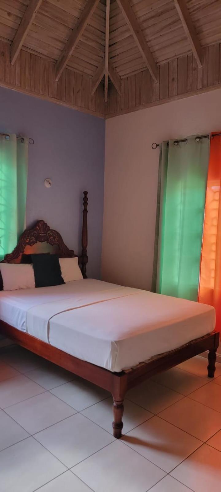 Wizzy Apartment White River Ocho Rios Bagian luar foto
