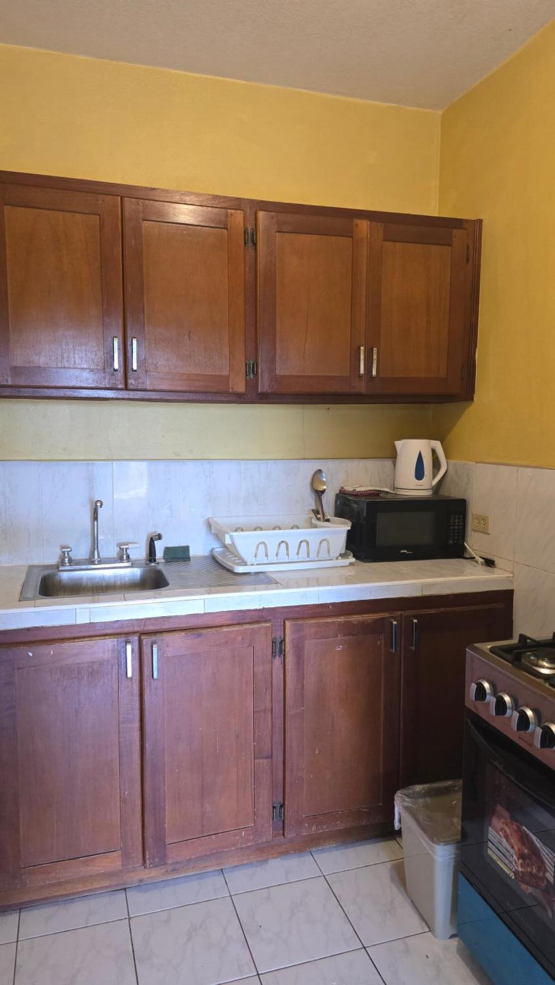 Wizzy Apartment White River Ocho Rios Ruang foto