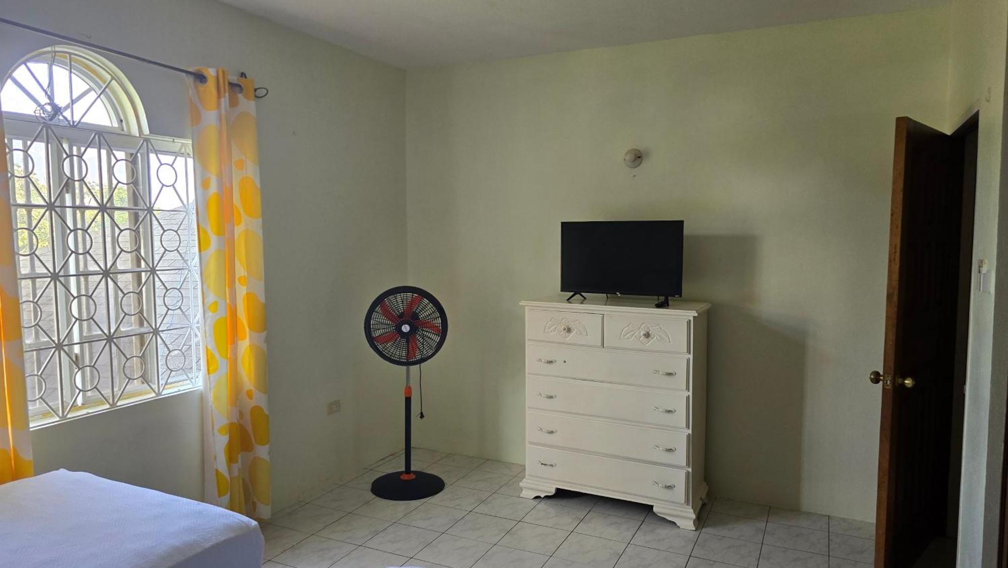 Wizzy Apartment White River Ocho Rios Ruang foto