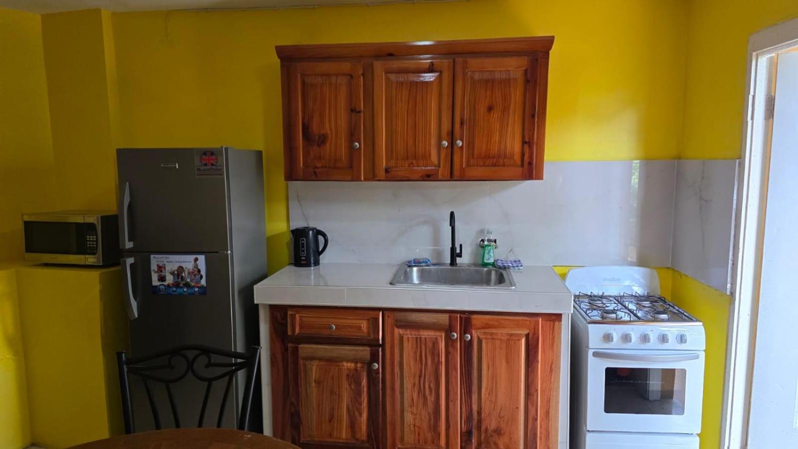 Wizzy Apartment White River Ocho Rios Bagian luar foto